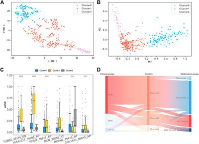 A new molecular subclassification and in silico predictions for diagnosis and prognosis of papillary thyroid cancer by alternative splicing profile